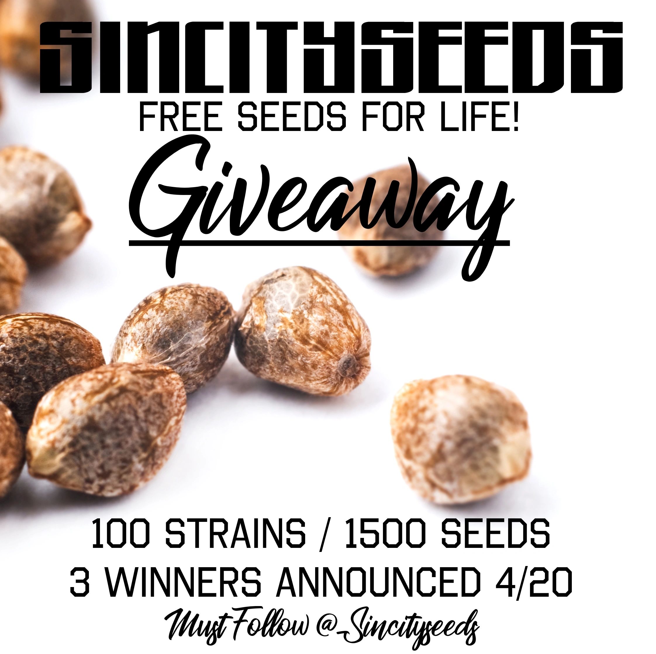 Seeds For Life Giveaway!